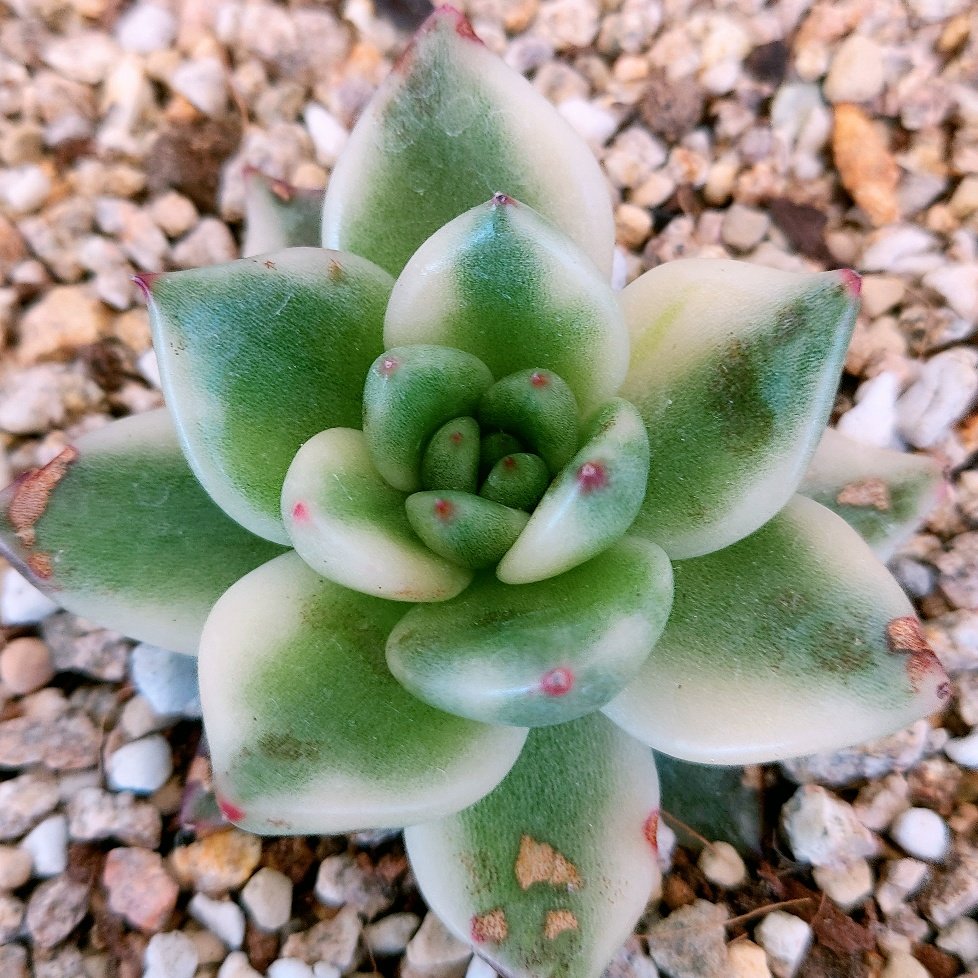 마리아유통 이미지