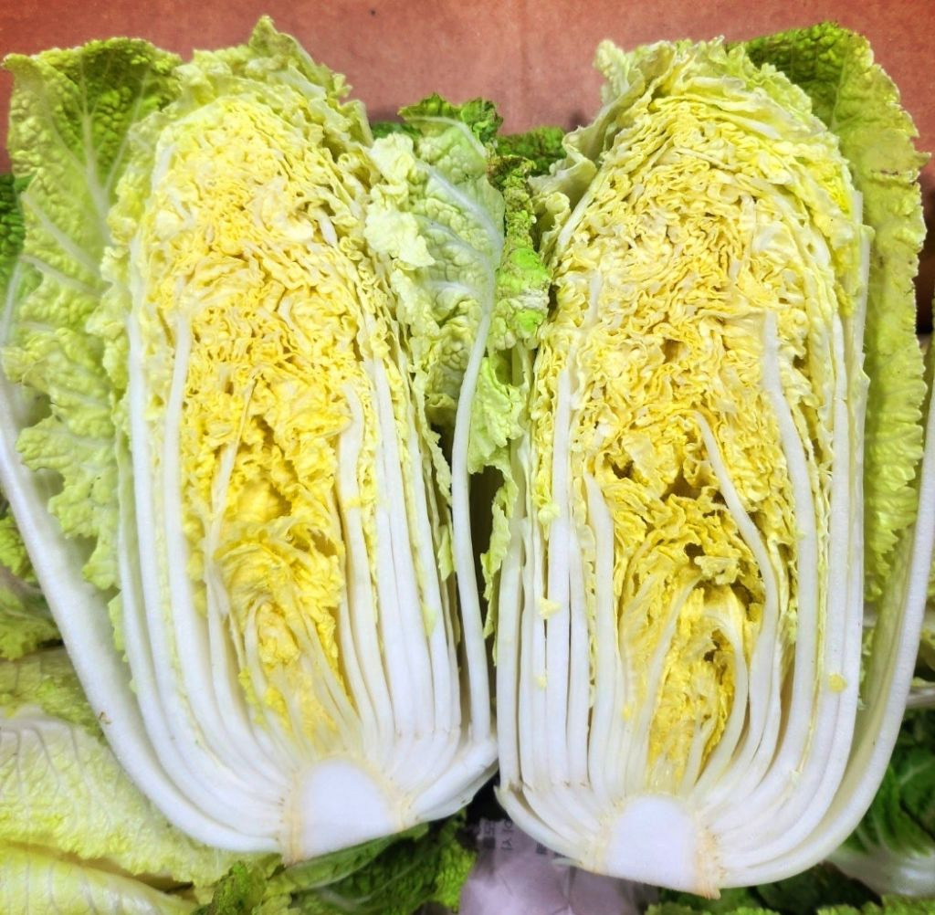 알배기 이미지