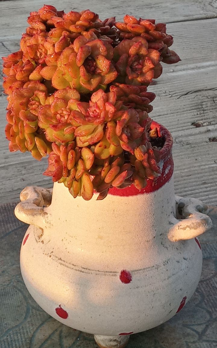 수연뷰티 이미지