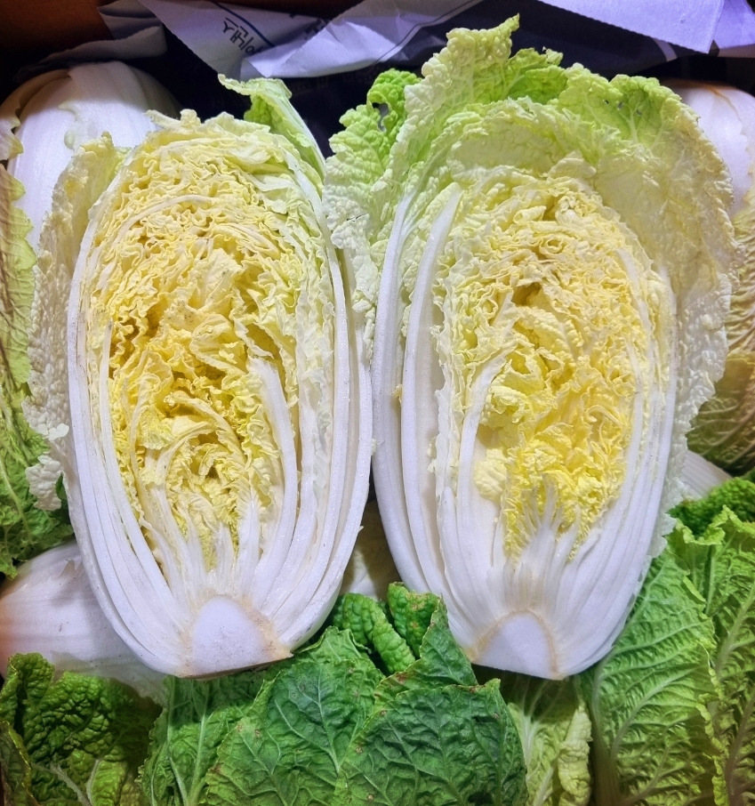 알배기 이미지