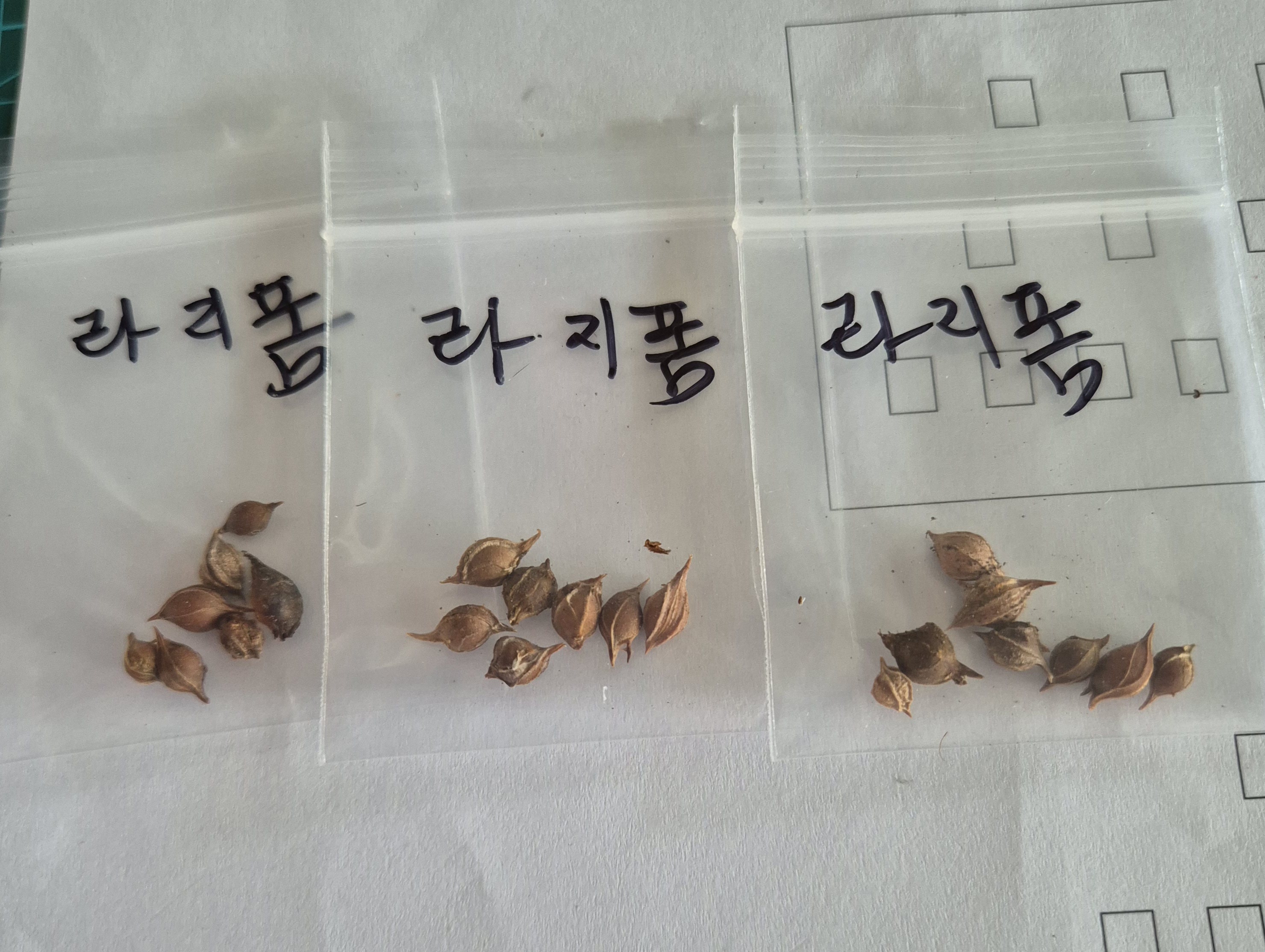라지 이미지