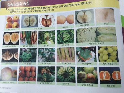 풀빈 이미지