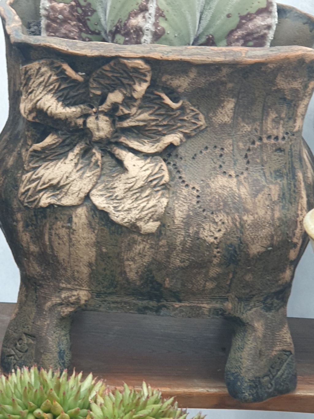 서인경화분 이미지