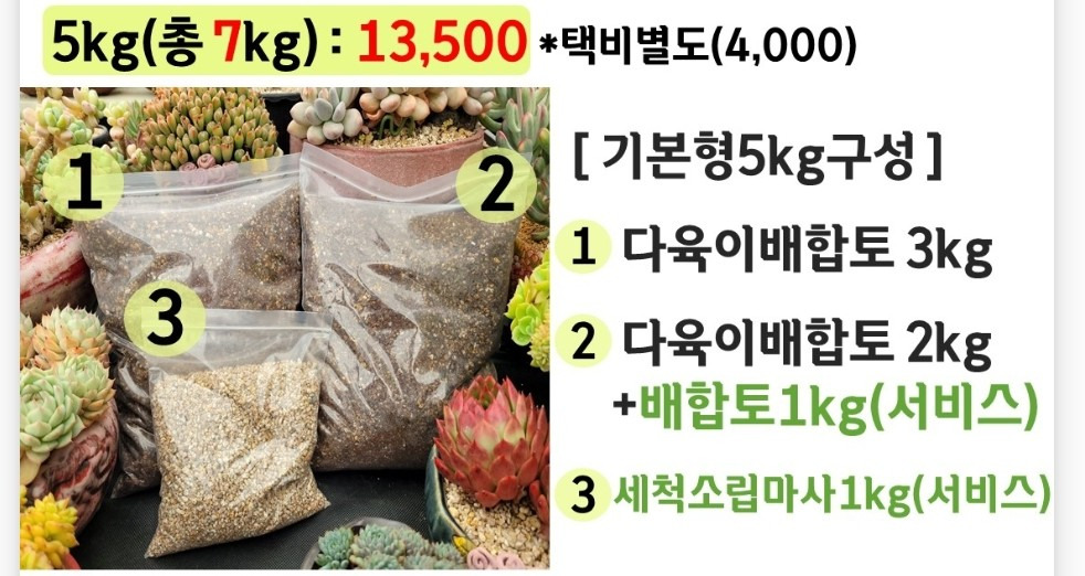 진토배기 이미지