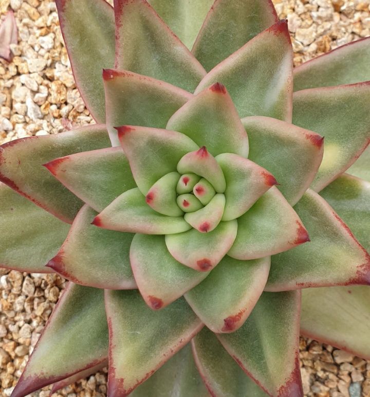 마리아유통 이미지