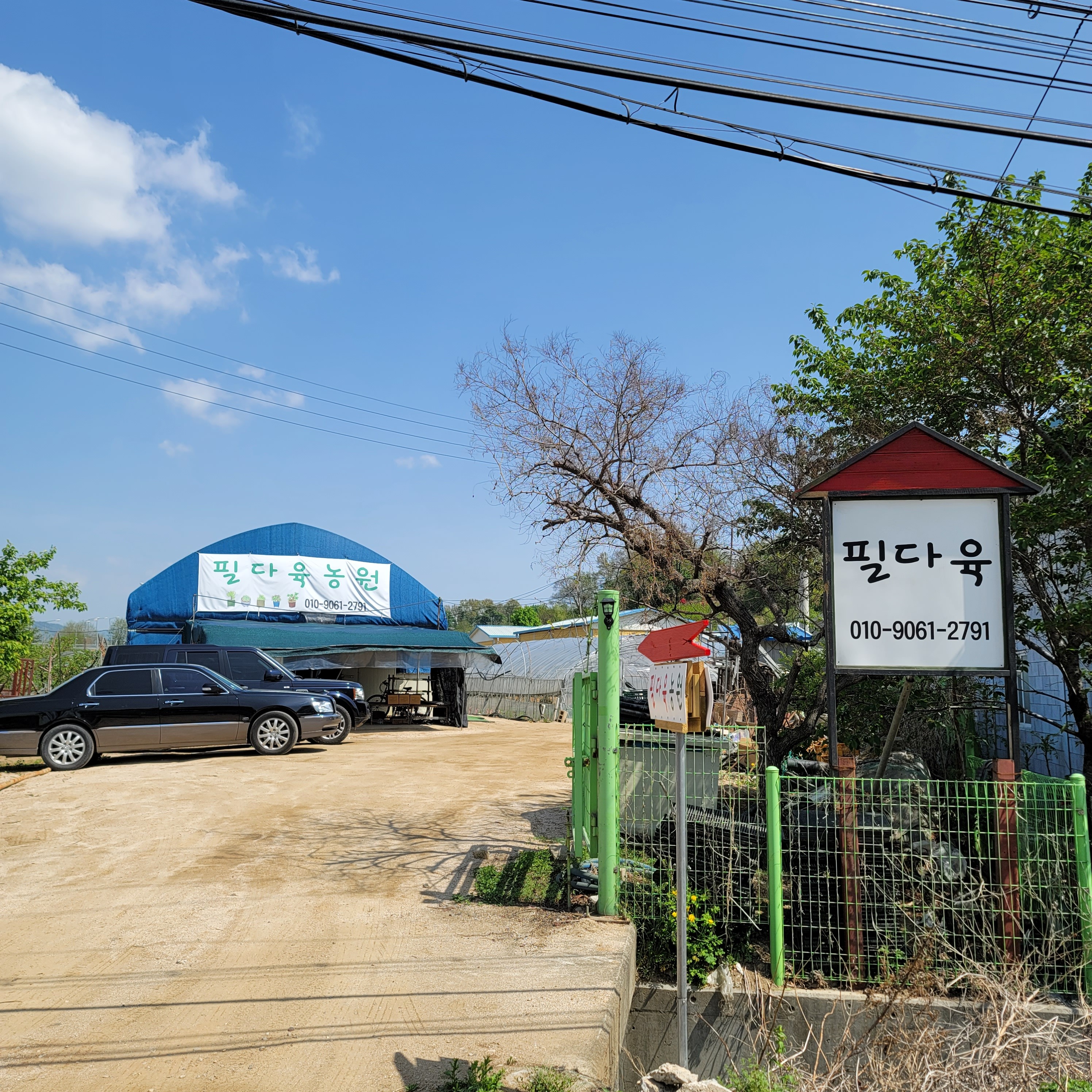 필다육 이미지