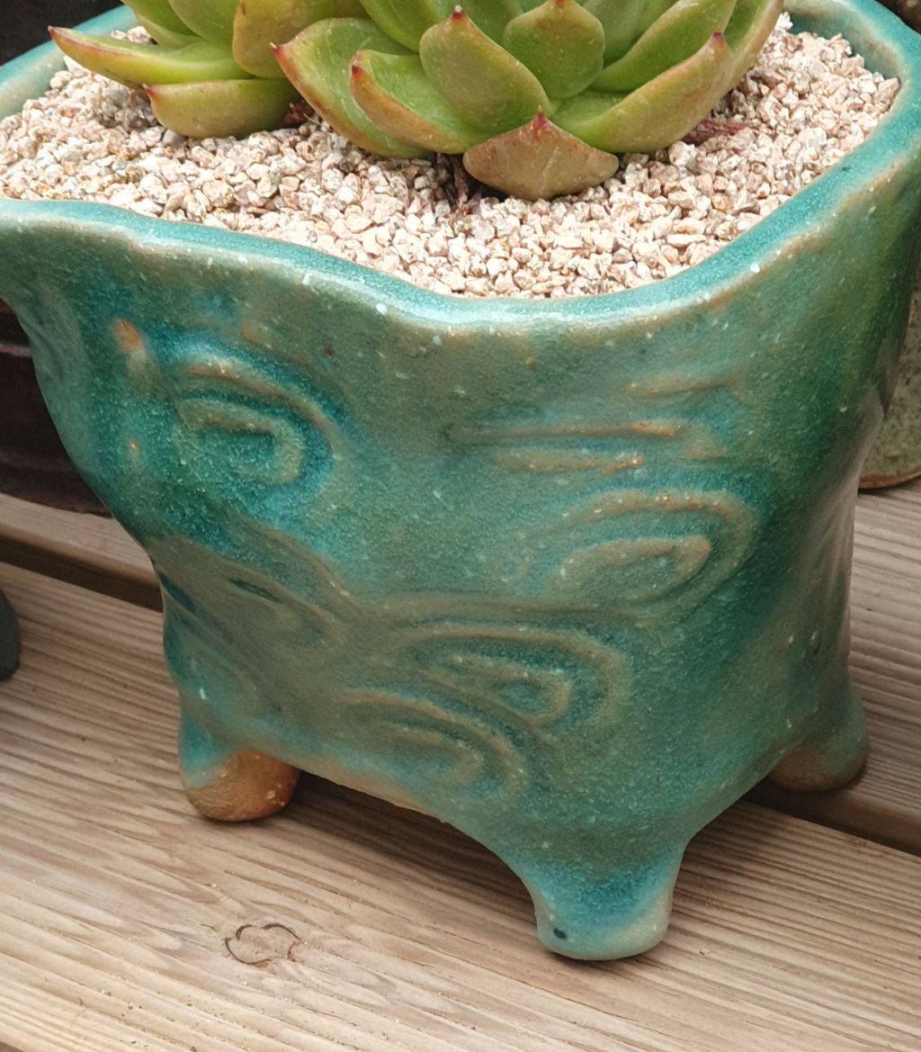 서인경화분 이미지