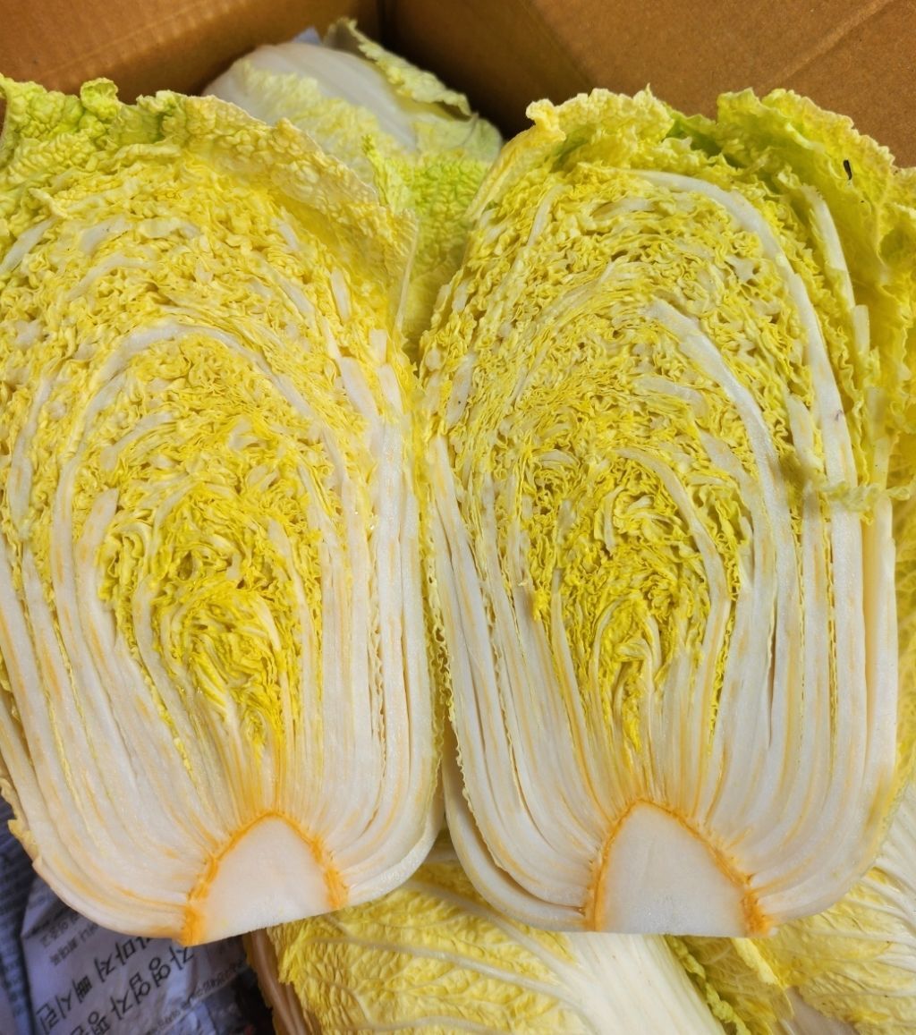 알배기 이미지