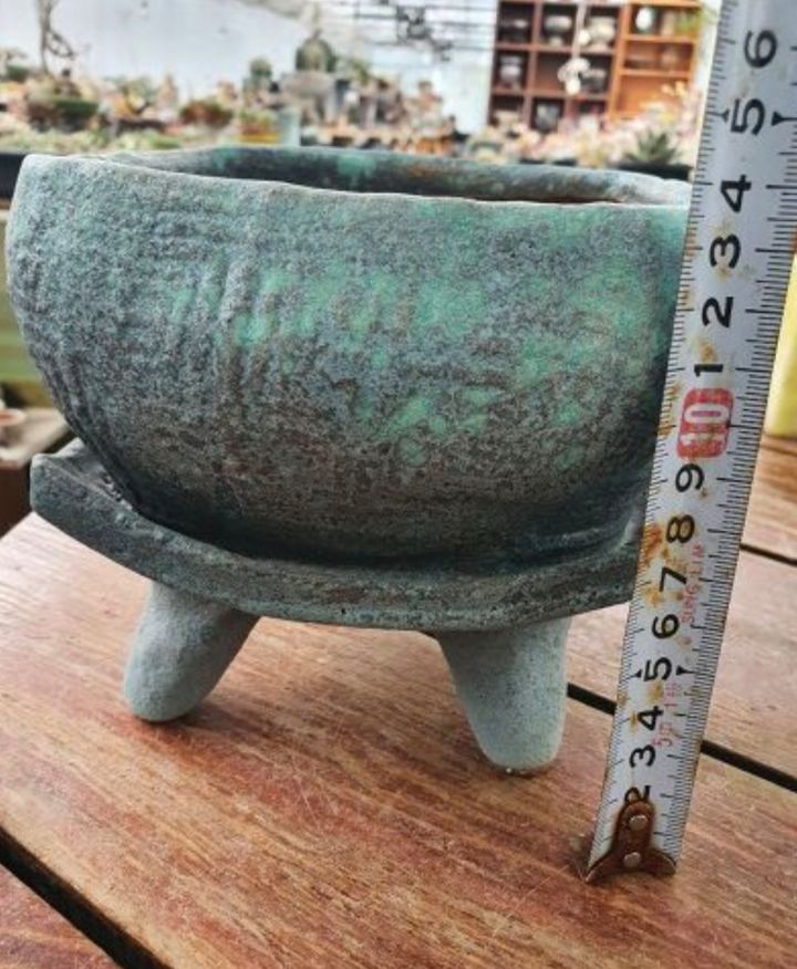 서인경화분 이미지