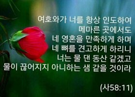 성경개발 이미지