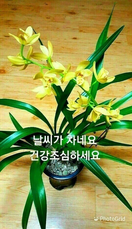 강화식품 이미지