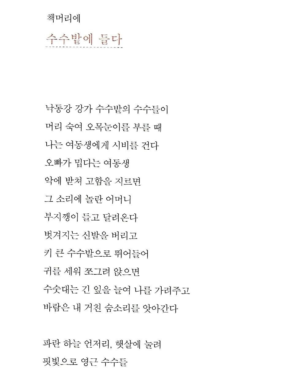 양민주 이미지