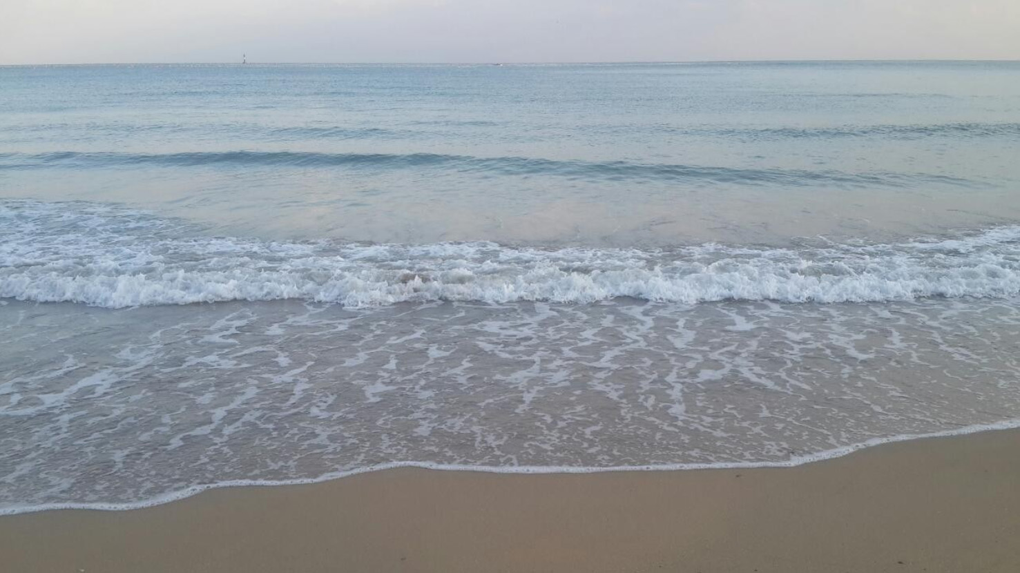 밀당 이미지