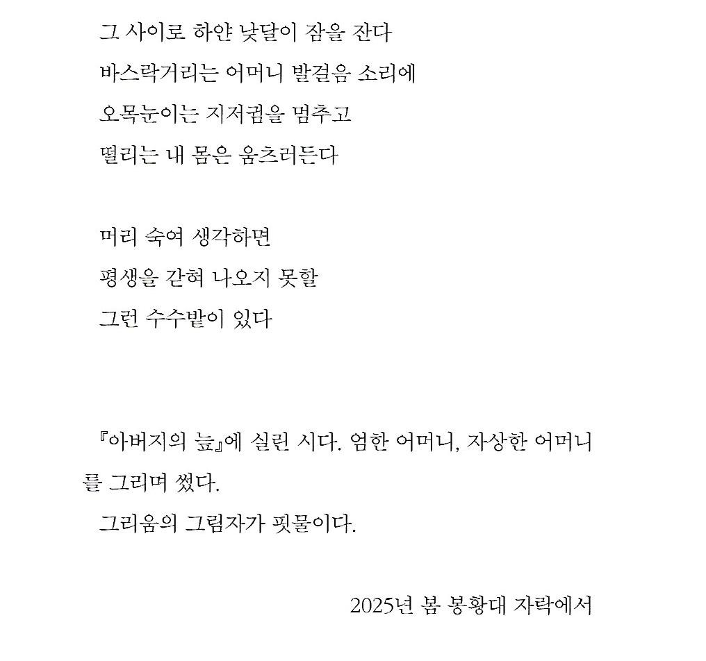 양민주 이미지