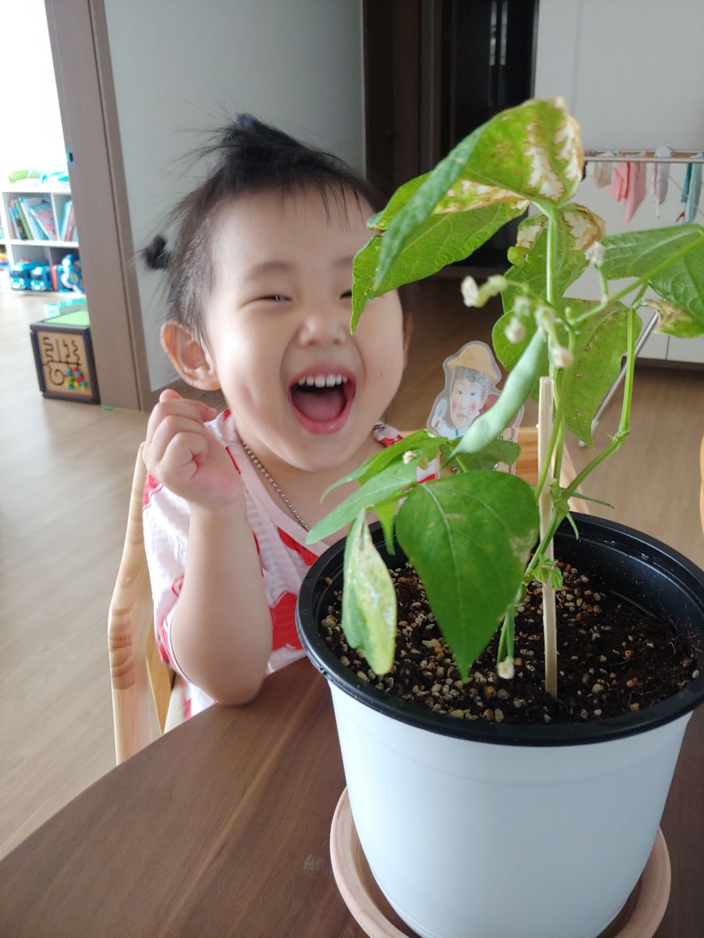 투리코 이미지
