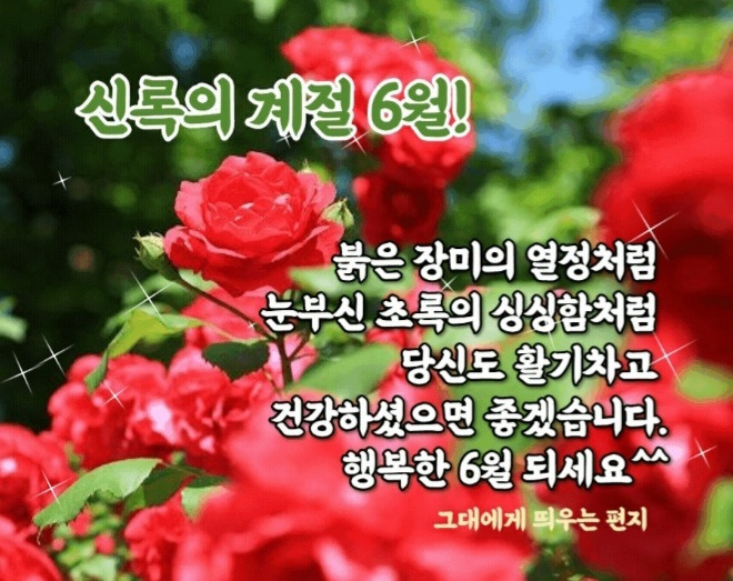 유월엔 이미지