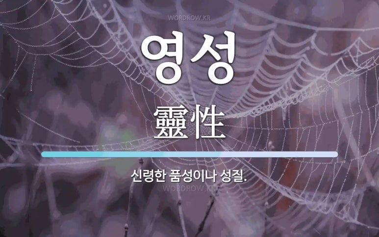 영성 이미지