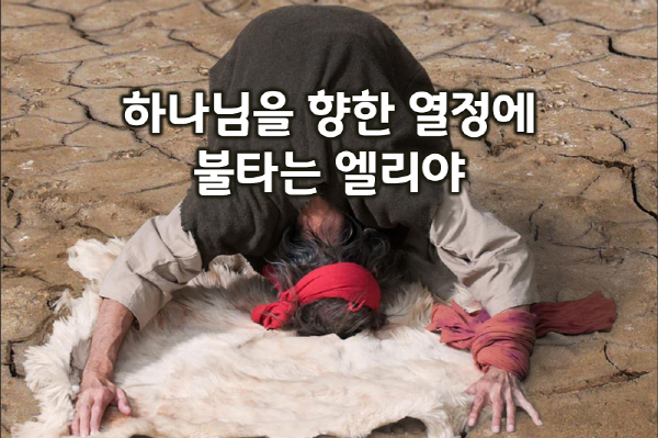 엘리야 이미지