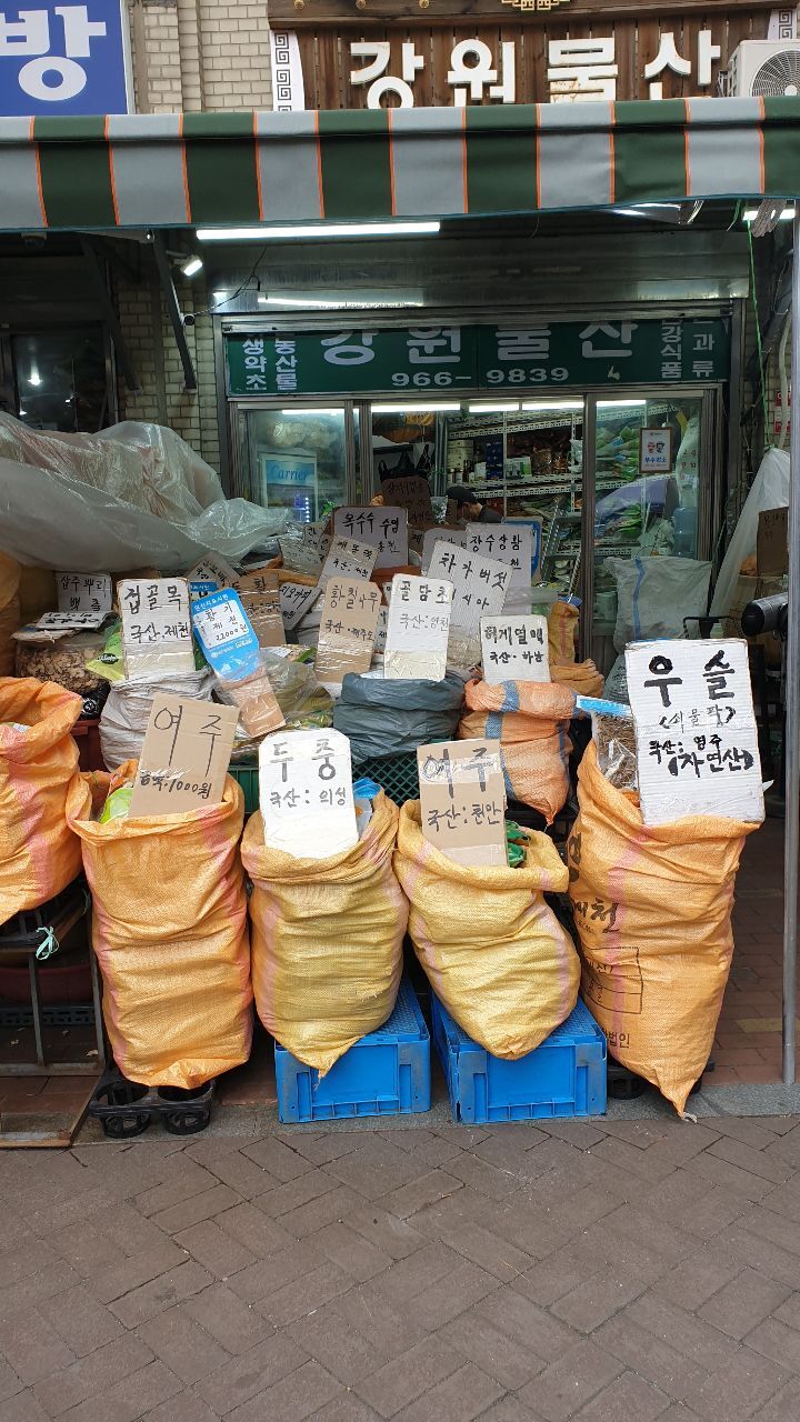 건강백화점 동의보감 이미지