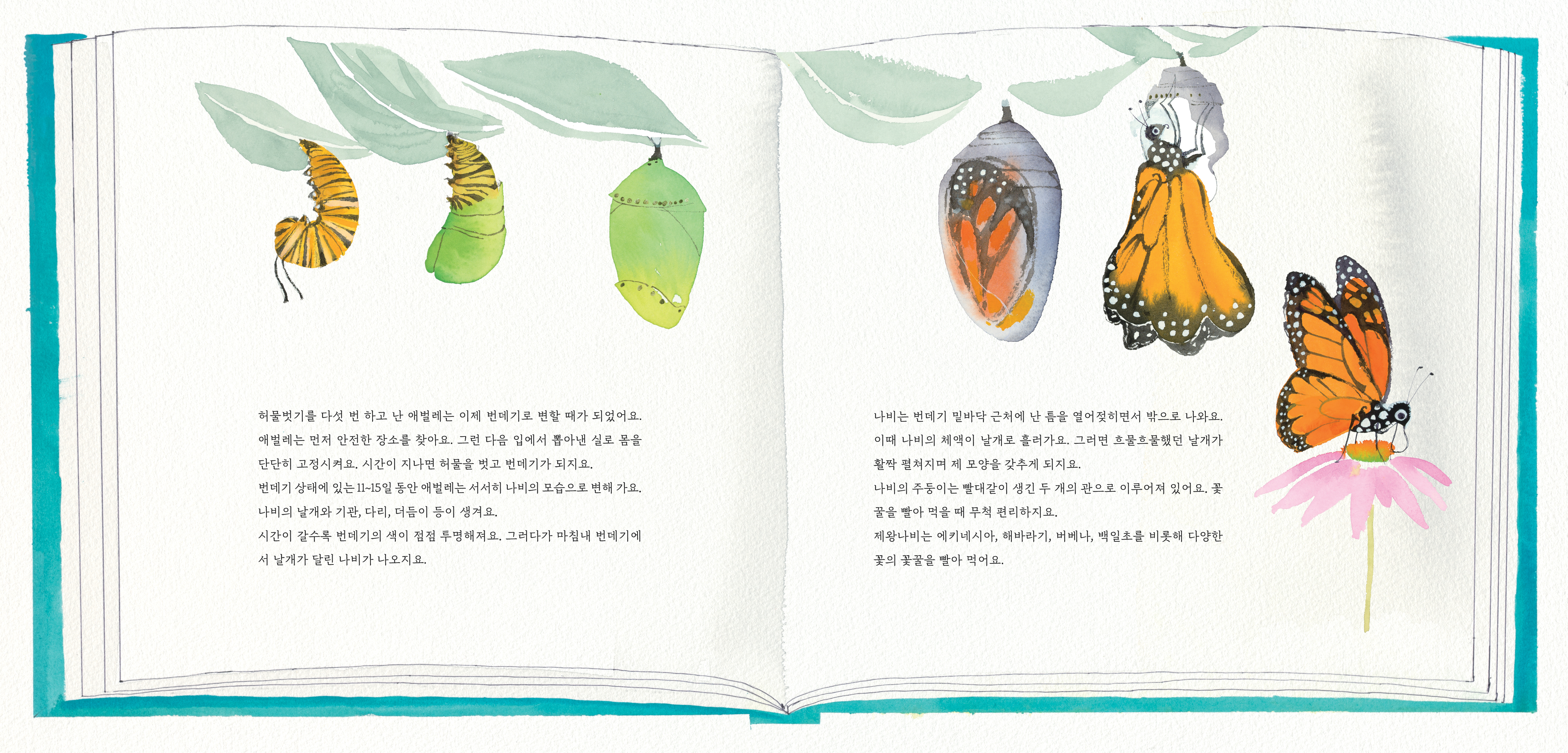 제왕나비 이미지