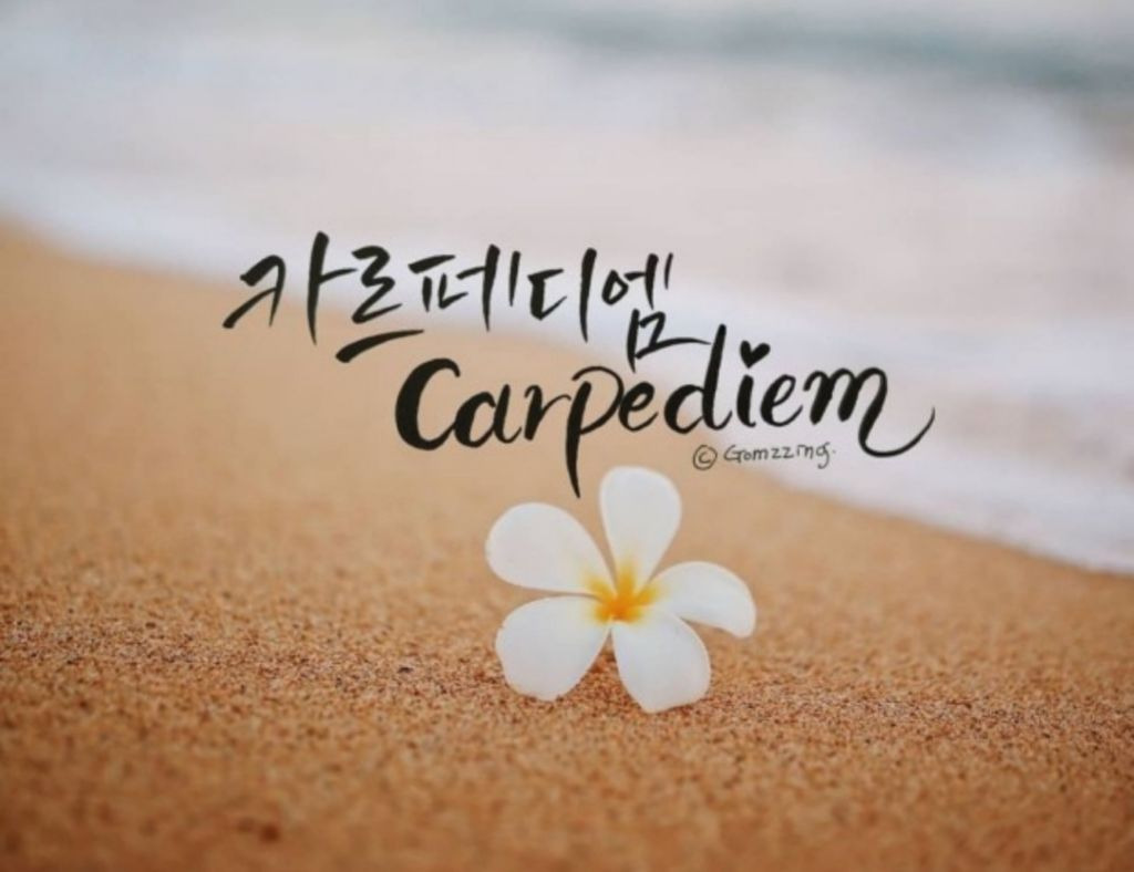 카르페디엠 이미지