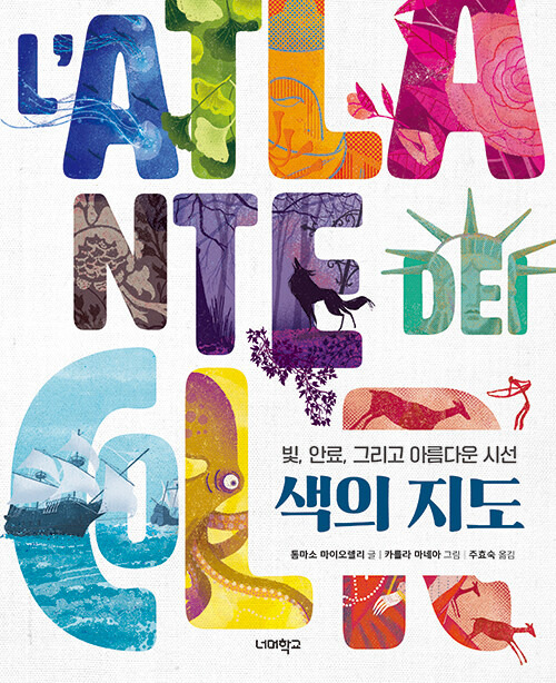 마이오 이미지