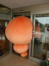 알바 이미지