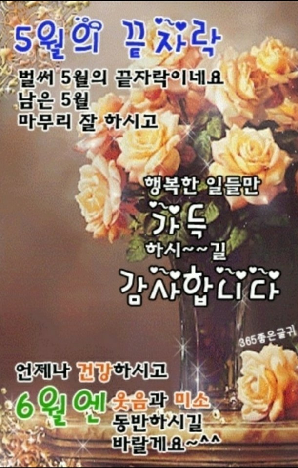 거시기네 이미지