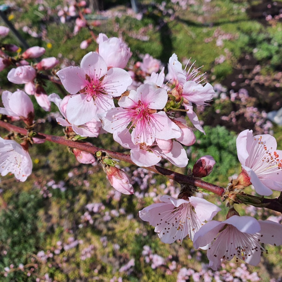 토담집 이미지
