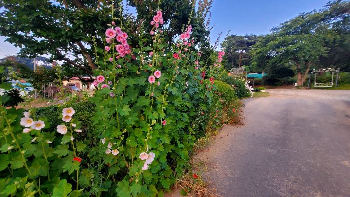 (주)뜨락 이미지