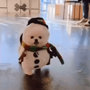 4년전 우리나라 ㅈ될뻔 한 사건 | 인스티즈