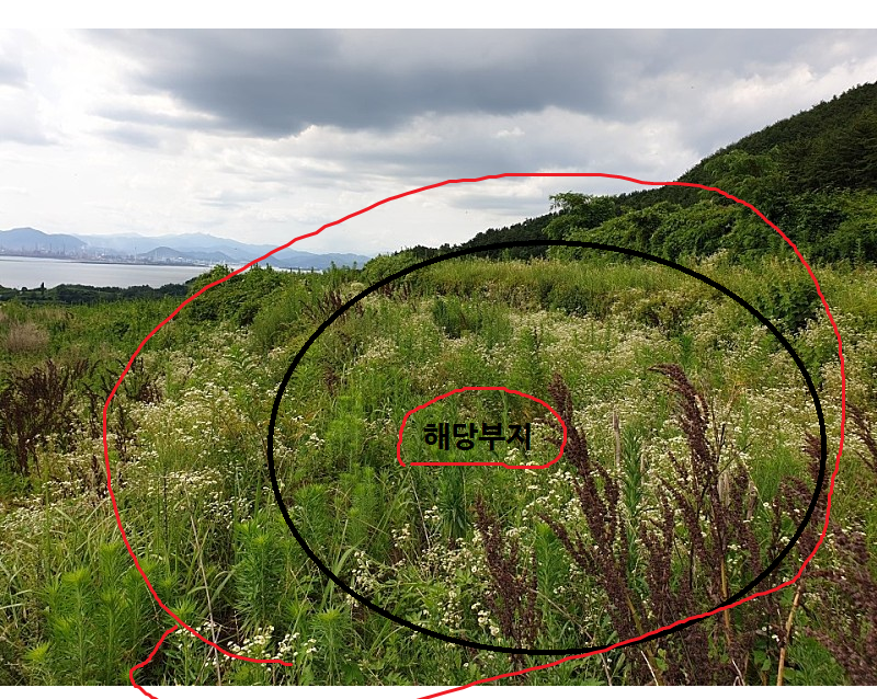 조망지역 이미지