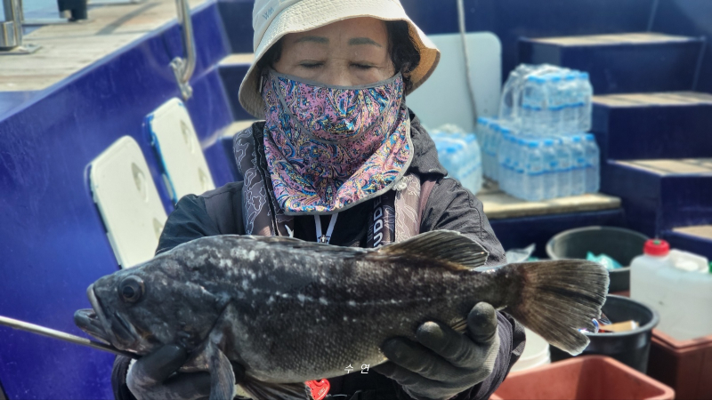 수연호 이미지