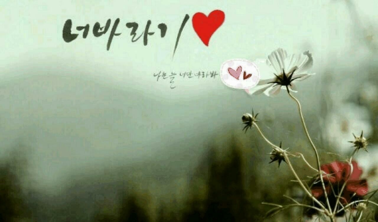 세모네모동그라미 이미지