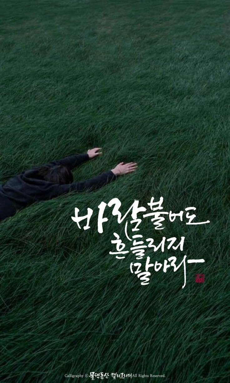 피오피인 이미지