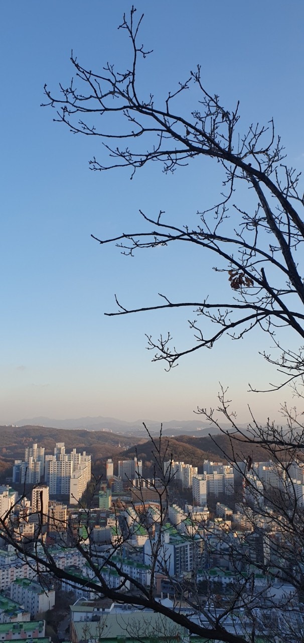 신동아 이미지