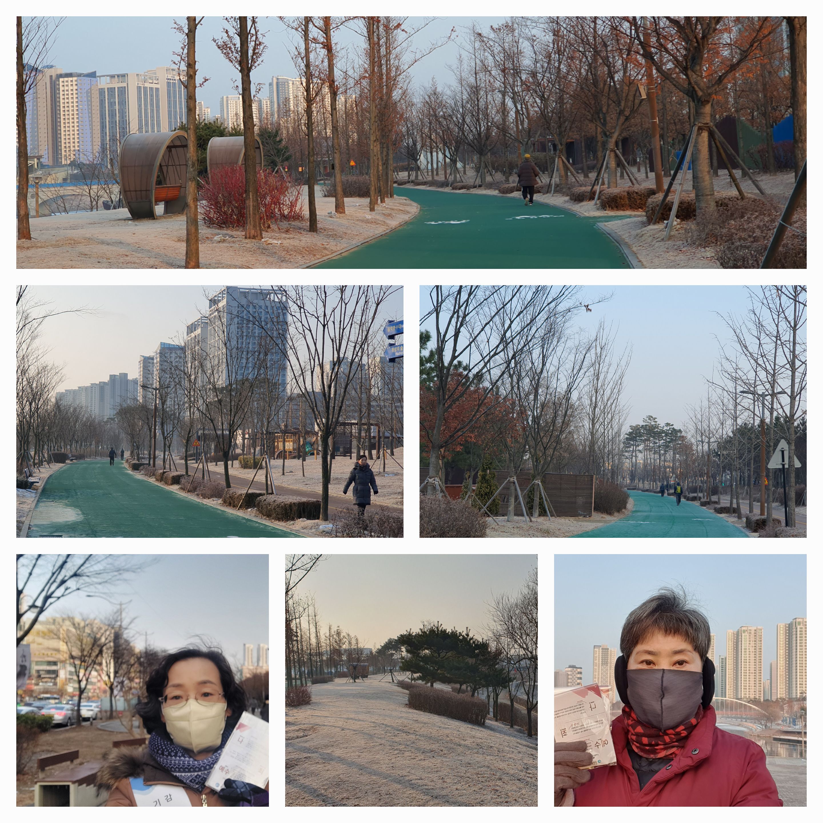 포도나무365 이미지