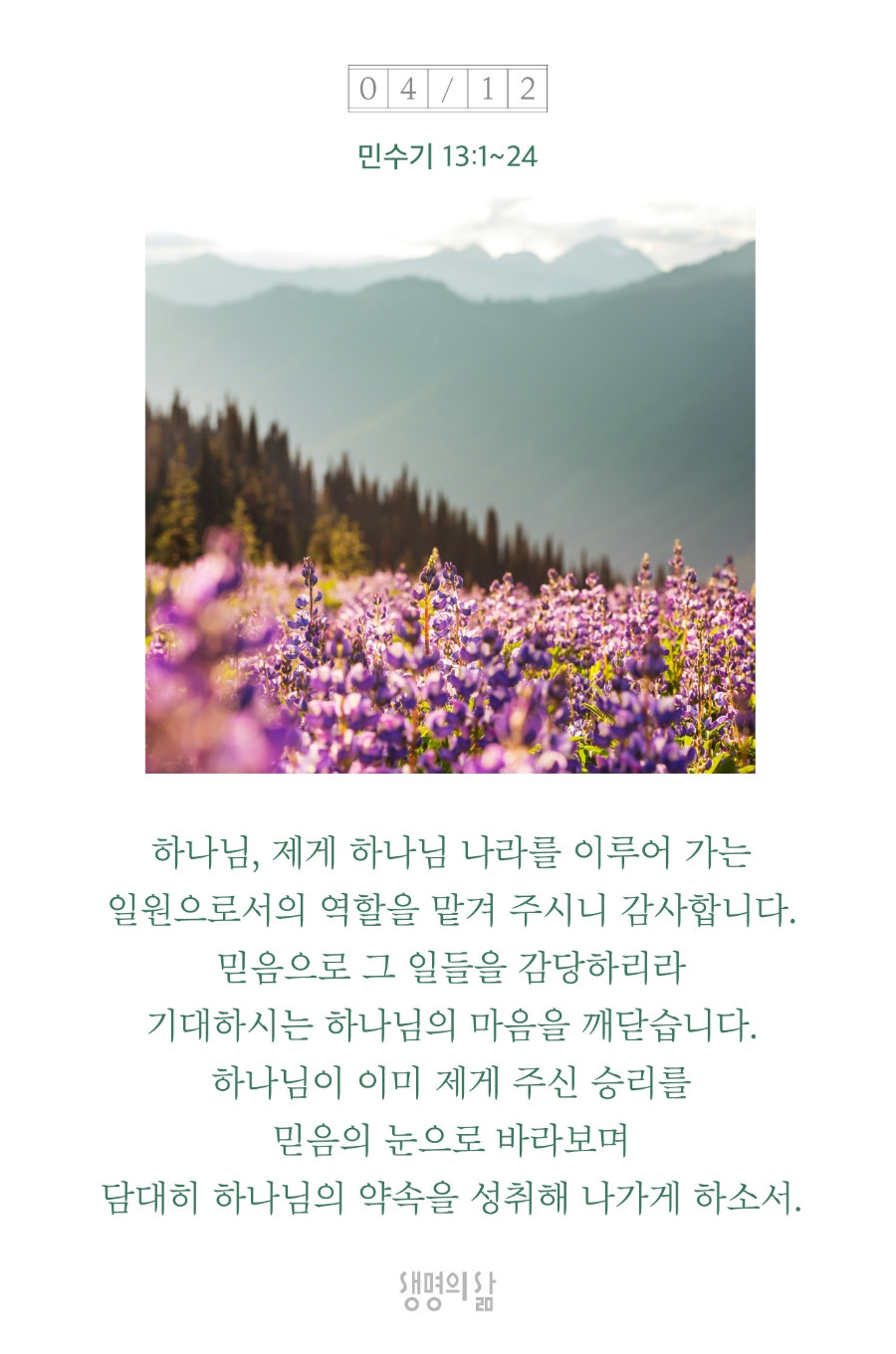 약속의땅 이미지