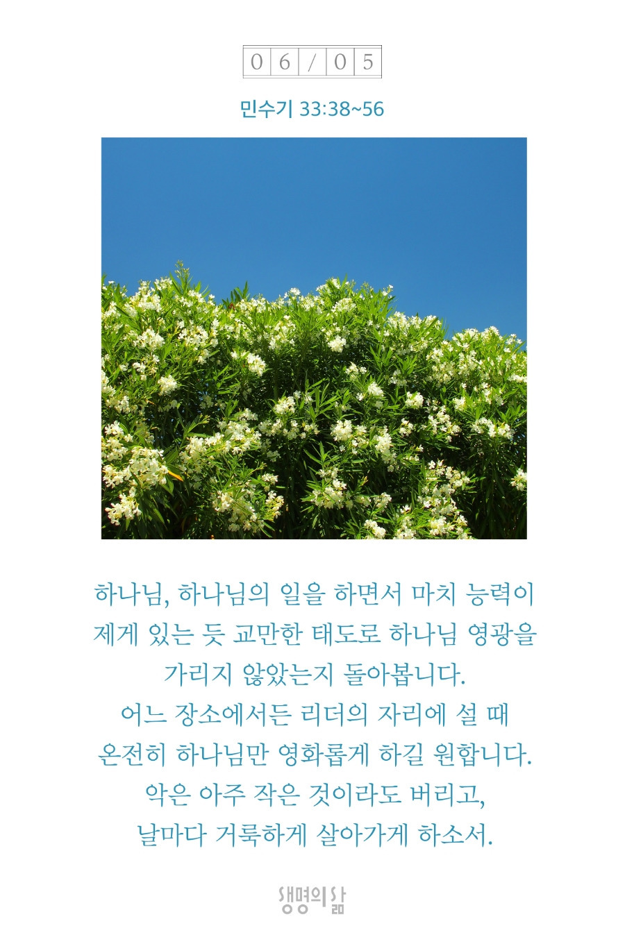 약속의땅 이미지