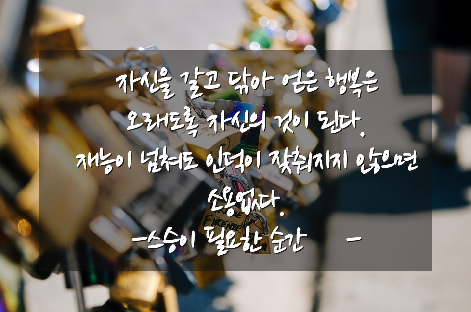 터진만두 이미지