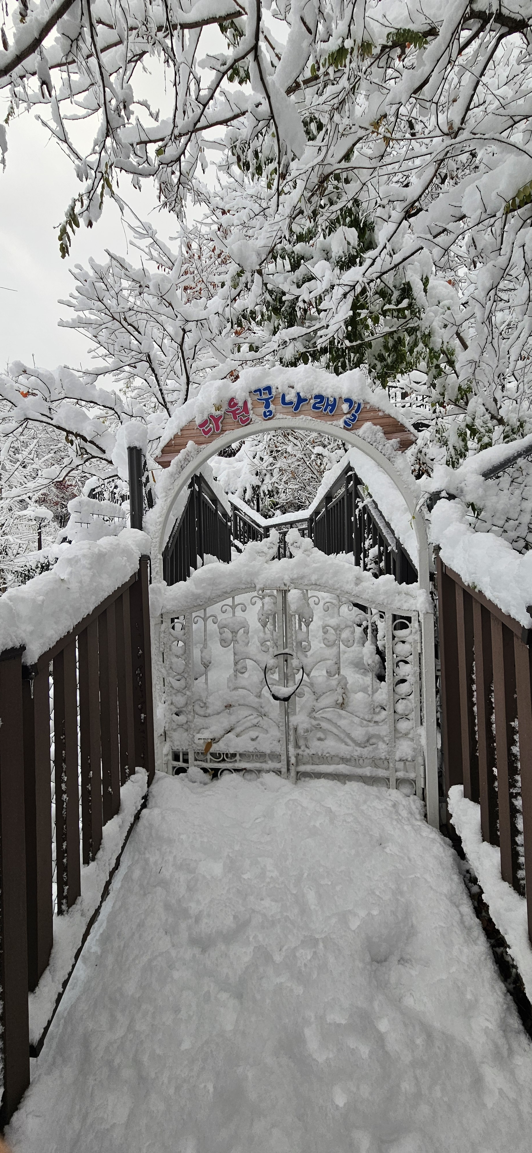 서울다원학교 이미지