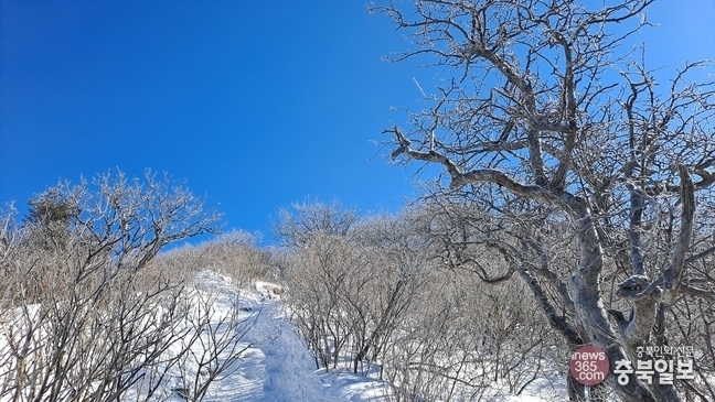 강원클린 이미지