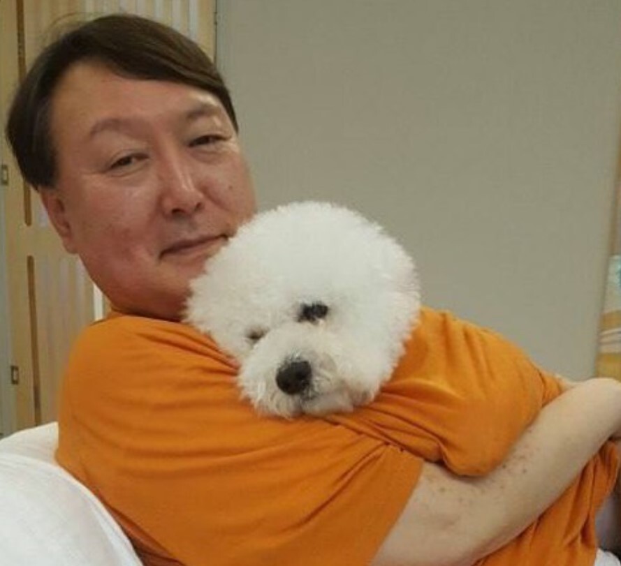 토리 이미지