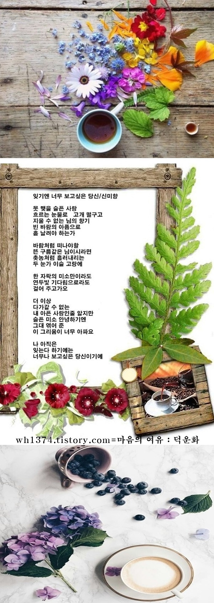 신미향 이미지