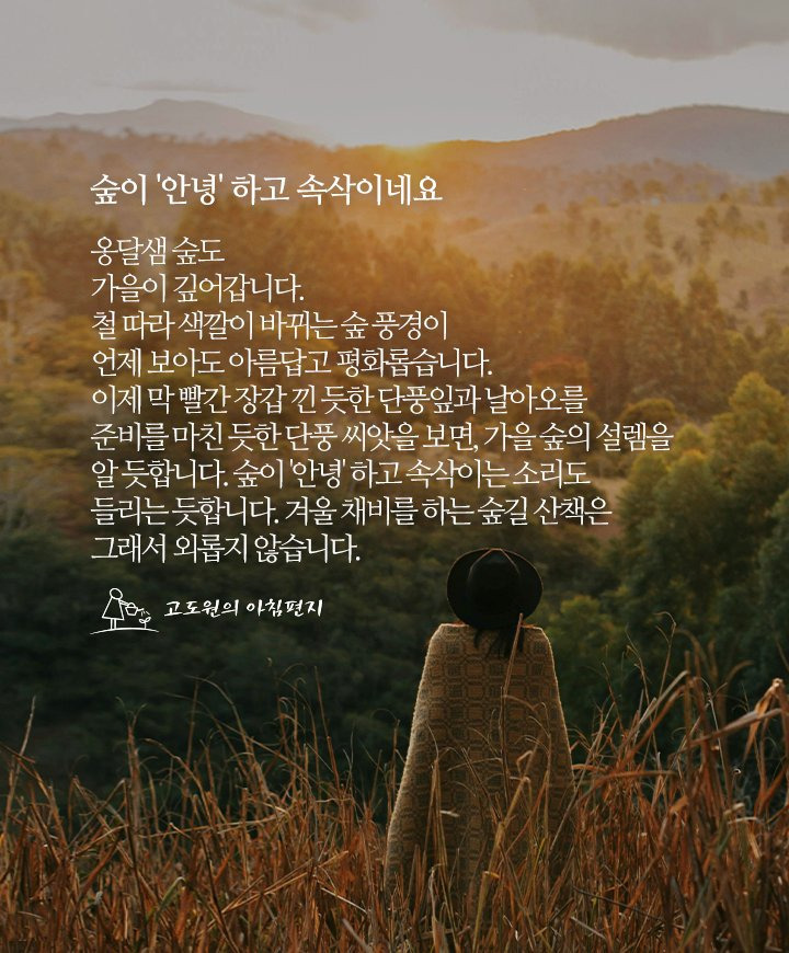 안녕숲 이미지