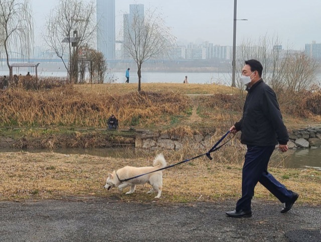 토리국수 이미지