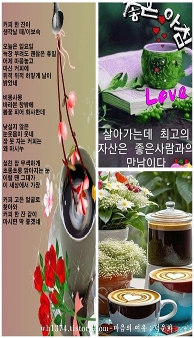 이*보 이미지