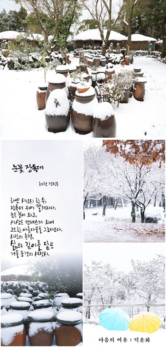 눈꽃 이미지