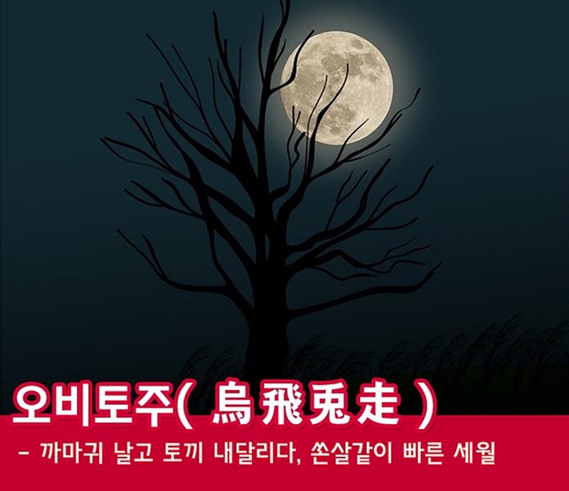 토주 이미지