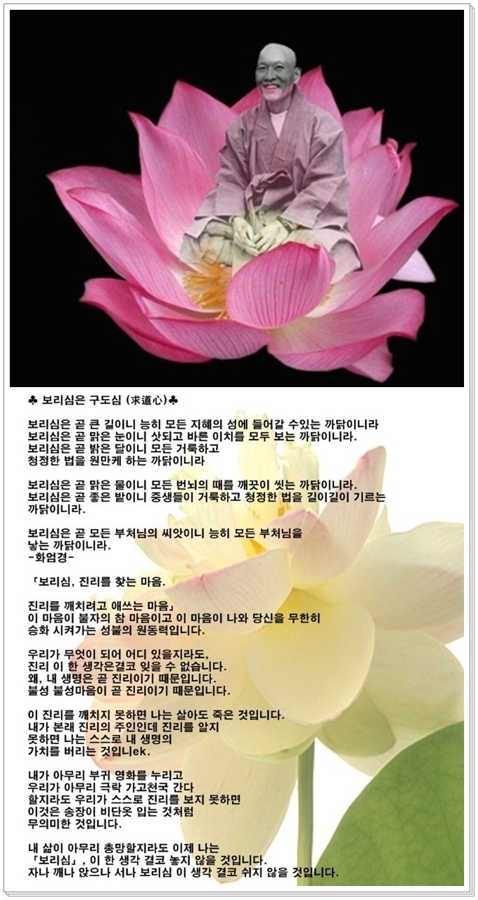 보리심 이미지